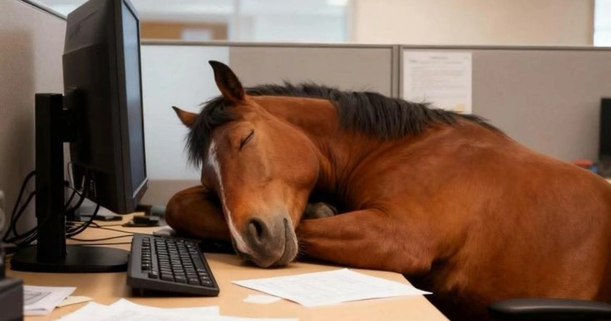 Hard Working Animals in The World