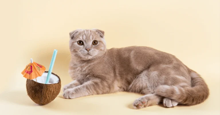 Top 17 Animals that Eat Coconuts (Images Included)