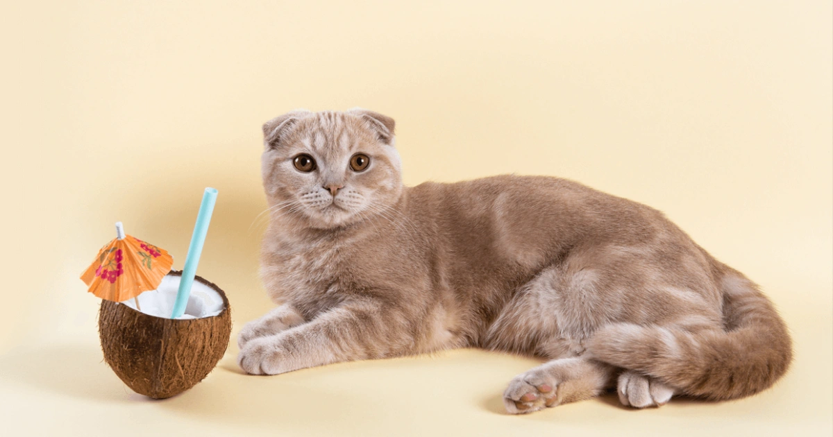 Top 17 Animals that Eat Coconuts (Images Included)